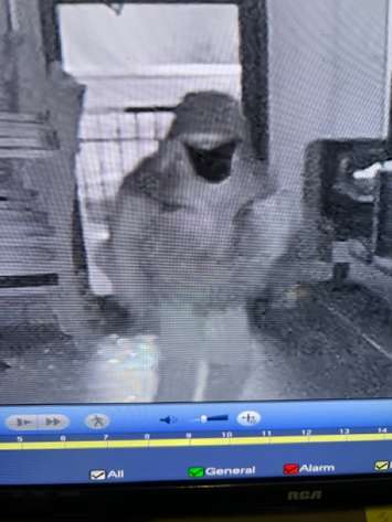Chatham-Kent police have released this photo in connection with a break-in on Grand Avenue West in Chatham on January 16, 2023. (Photo courtesy of Chatham-Kent police)