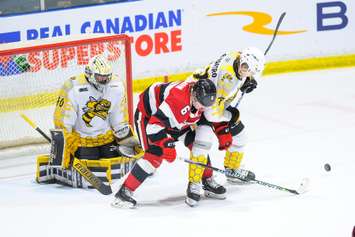 The Sarina Sting host the Ottawa 67's. 5 February 2023. (Metcalfe Photography)