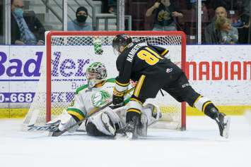 Sting score double digits, beat Knights for sixth time