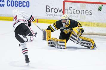 Sting netminder Ben Gaudreau in a game versus the Guelph Storm. 15 February 2023. (Metcalfe Photography)