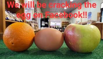 (Photo of the egg at Simpson Orchards on Facebook)