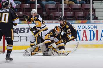 Brigden's Kaden Fulcher makes a save against his former team (Photo by Metcalfe Photography)