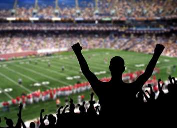 Fan celebrating a victory at a american football game. © Can Stock Photo / djpadavona