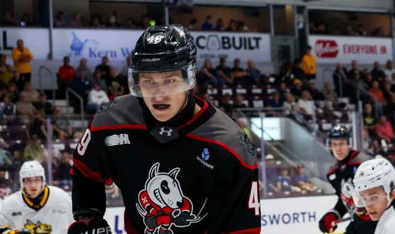 Sarnia Sting add overage blueliner Liam Spencer via trade