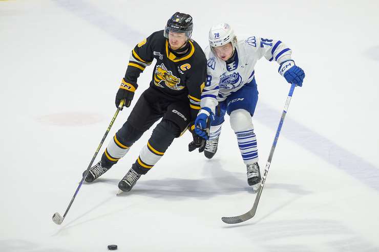 Mississauga Steelheads at Sarnia Sting, March 13, 2024. Photo by Metcalfe Photography. 