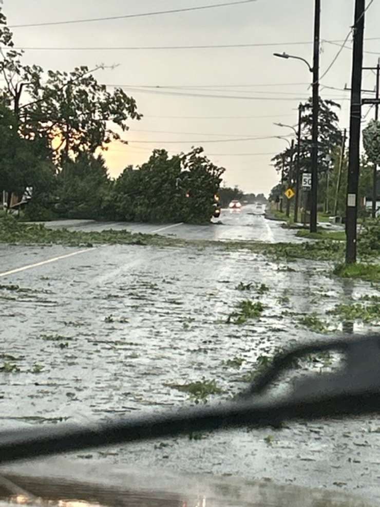 Trees cover roads in Brooke-Alvinston following storms on July 21, 2023. Photo courtesy of Mayor David Ferguson.