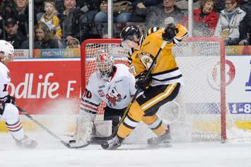 Sean Josling tries to score in tight against Niagara (Photo by Metcalfe Photography)