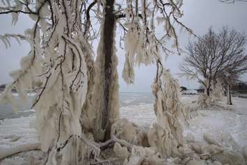 Strong winds and bitterly cold air coat the St. Clair River waterfront with ice Jan. 15, 2018 (BlackburnNews.com photo by Dave Dentinger)
