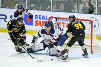 The Sarnia Sting hosting the Saginaw Spirit in Game 2 of the west semifinal. 16 April 2023. Metcalfe Photography. 