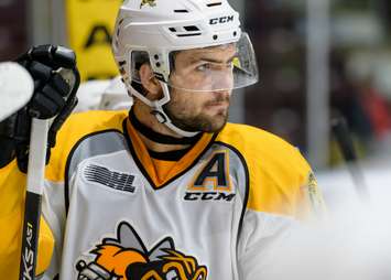 Sarnia Sting vs Mississauga Steelheads. October 14, 2018. (photo by Metcalfe Photography)