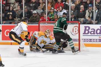 The London Knights take on the Sarnia Sting, December 31, 2014. (Photo courtesy of Metcalfe Photography)