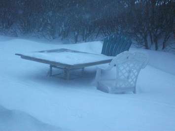 Photo courtesy Jane Callow