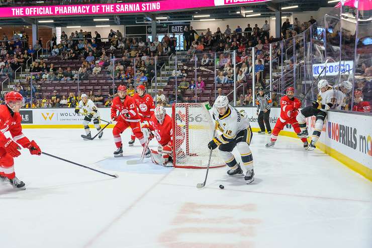 Sarnia Sting vs the Soo Greyhounds, October 6, 2024. Photo by Metcalfe Photography. 