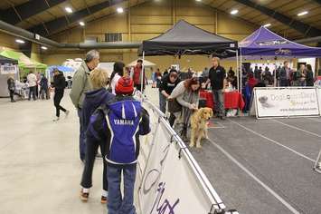 Southwestern Ontario Pet Expo at the John D. Bradley Convention Centre in Chatham. March 11, 2017. (Photo by Natalia Vega)