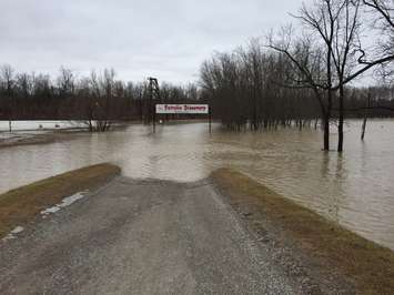 Flooding at Petrolia Discovery. File photo by Melanie Irwi)