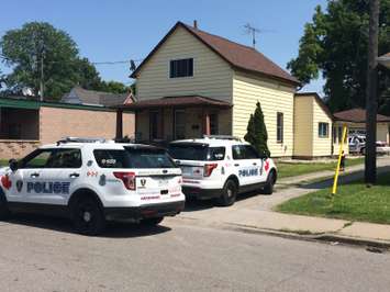 Windsor police swarm the 900 block of Chatham St. E after reports of a break and enter. (Photo by Jason Viau)