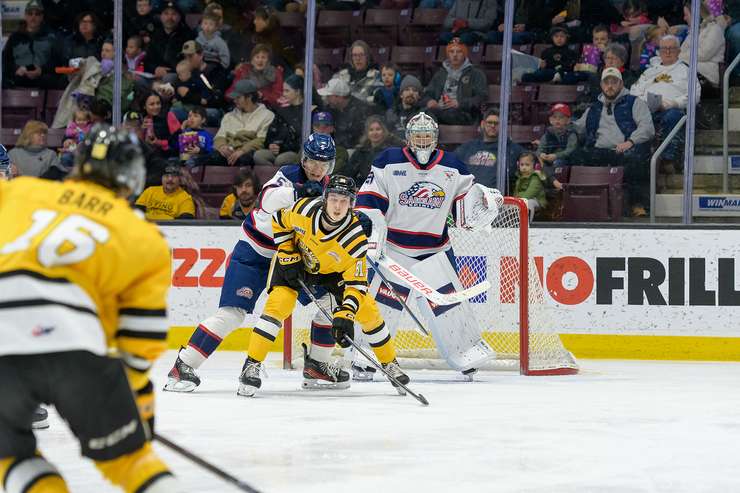 Saginaw at Sarnia Sting, February 17, 2025. Photo by Metcalfe Photography. 