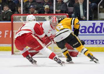 The Sarnia Sting beat the Greyhounds 5-3, handing the Soo their 1st reg. loss in 30 games. January 19, 2018. (Photo courtesy of Metcalfe Photography)