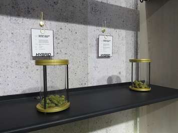 Glass jars filled with marijuana for customers to smell at a legal cannabis store in London. (File photo by Miranda Chant, Blackburn Media)