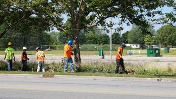 Centennial Park fencing comes down July 16, 2015 (BlackburnNews.com Photo by Briana Carnegie)