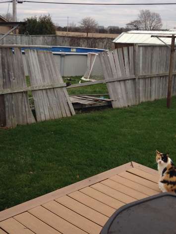 (Photo couresty Facebook/Kathleen Henry Hickmott)