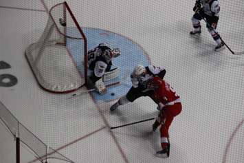 The Windsor Spitfires lose 2-4 against the Sault Ste Marie Greyhounds on November 16, 2014 at the WFCU Centre. (Photo by Jason Viau)