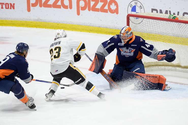 The Sarnia Sting hosting the Flint Firebirds. 13 October 2023. (Metcalfe Photography)