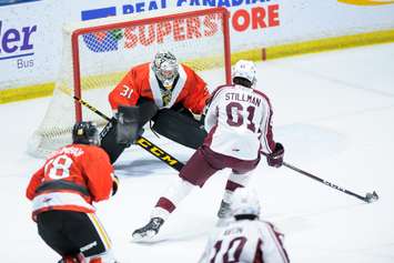 Sarnia Sting host Peterborough Petes on Dec 11, 2022. Photo by by Metcalfe Photography.
