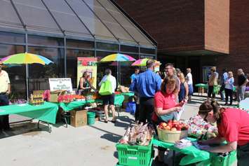 Vendors take part in a Farmers Market outside the Civic Centre in Chatham to kick off Local Food Week. June 6, 2016. (Photo by Matt Weverink)