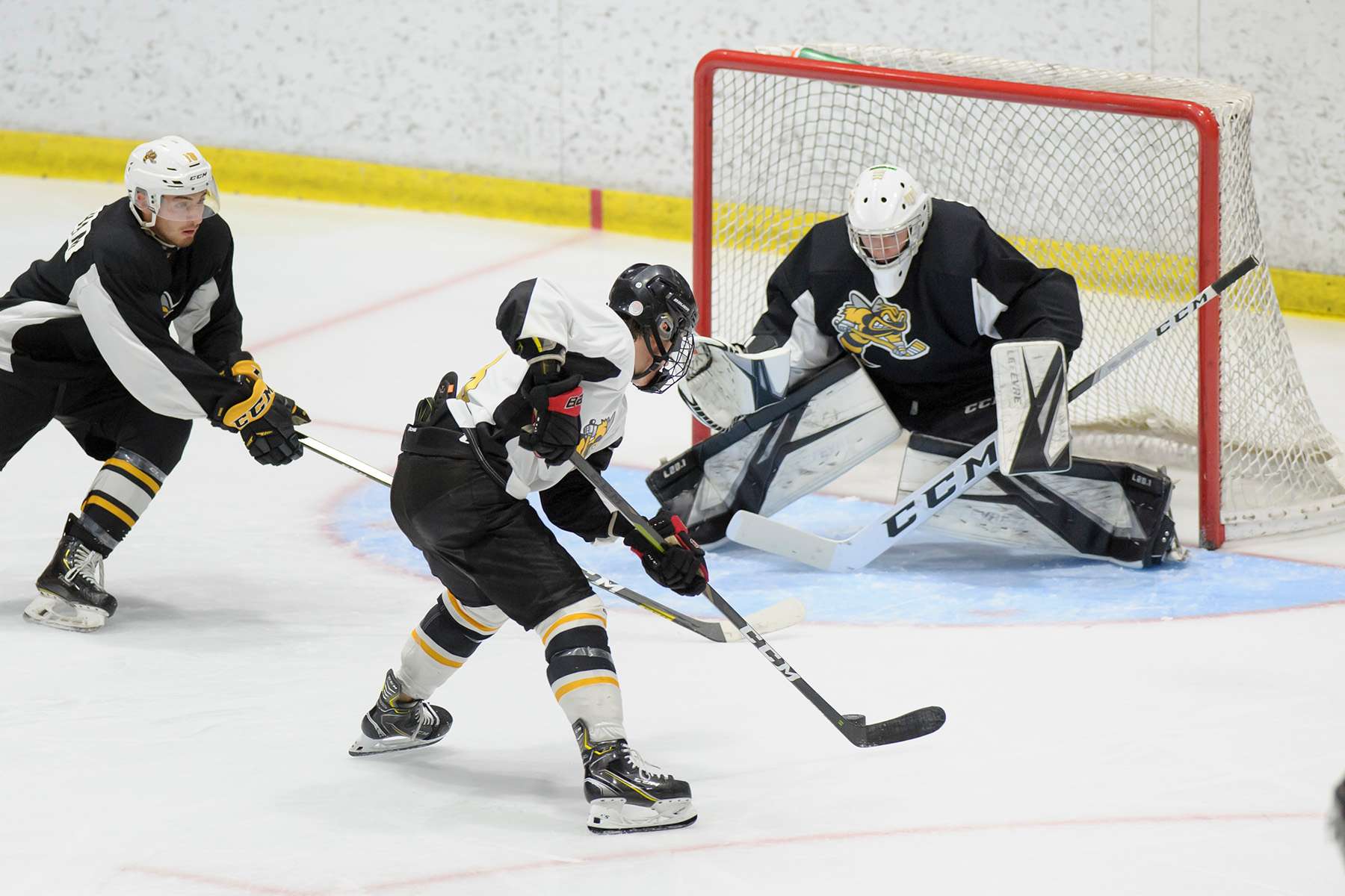 Sarnia Sting set for training camp