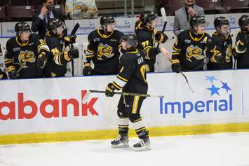 Sarnia Sting vs Guelph Storm Feb 9, 2022. Photo courtesy of Metcalfe Photography. 