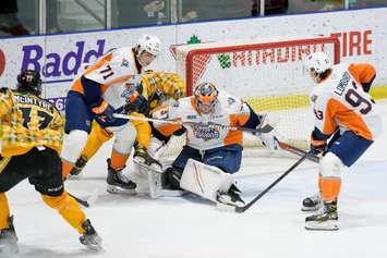 The Sarnia Sting hosting the Flint Firebirds.  25 February 2022. (Metcalfe Photography)
