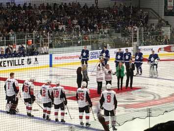 The Leafs and Sens lining up prior to the ceremonial puck drop. (Photo by Ryan Drury)