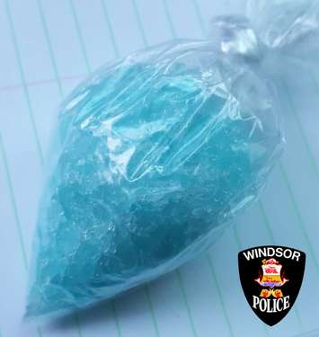 Provided by Windsor Police Service. 