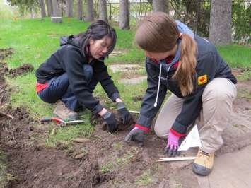 Western University students, Sunny Kim and Alyssa Szilagyi, uncovering Confederation-era tombstones at Woodland Cemetery, May 11, 2017. (Photo by Miranda Chant, Blackburn News.)