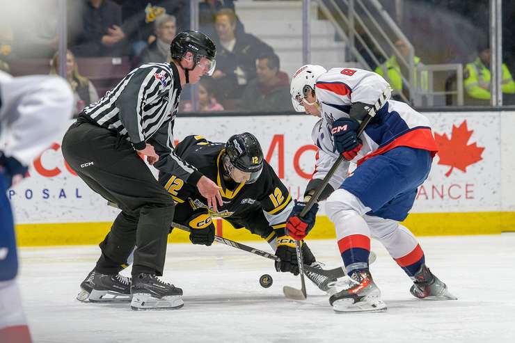 Sarnia Sting host the Windsor Spitfires on Feb. 22/25 (Photo by: Darren Metcalfe Photography)