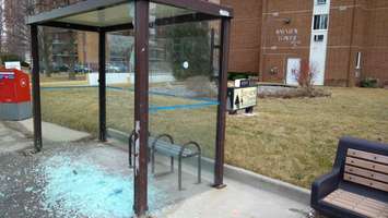 Vandals smash Transit Windsor bus shelters in Windsor's east end. (Submitted photo)