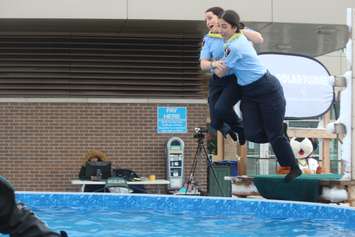 4th Annual Polar Plunge at the St. Clair College SportsPlex, Windsor, March 2, 2018. Photo by Mark Brown/Blackburn News.