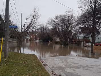 Flooding on Thomas St. at Van Allen Ave. in Chatham. February 24, 2018. (Photo by Natalia Vega).