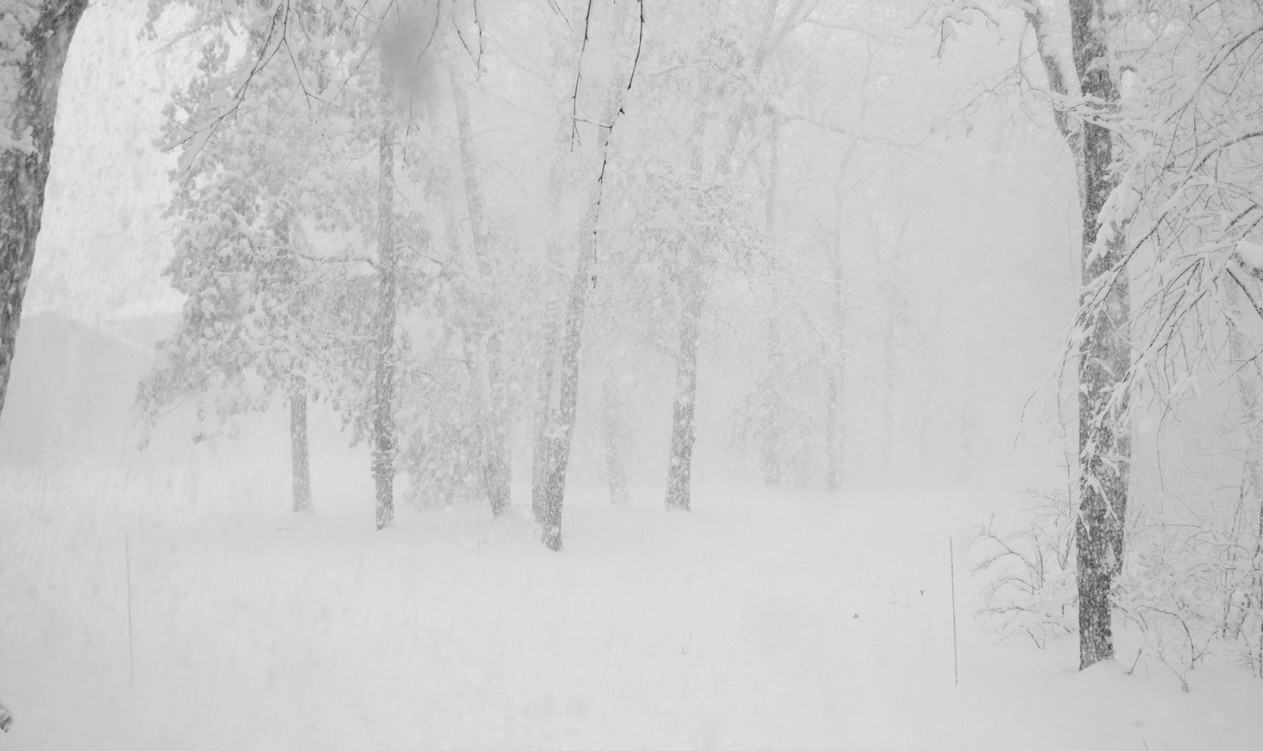 snowstorm-expected-to-blanket-london-area