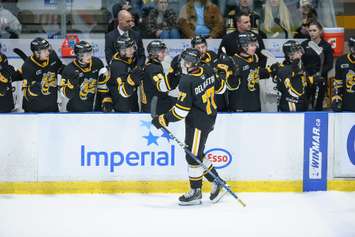 The Sarnia Sting taking on the Flint Firebirds. 20 February 2023. (Metcalfe Photography)