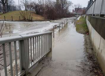 Broken up ice and high water levels move down the Thames River in Chatham. February 6, 2019. (Photo by Jason Homewood // @Jason_Homewood via Twitter)