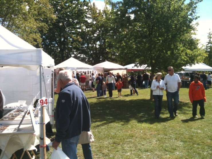 Art in the Park. Blackburn News file photo.