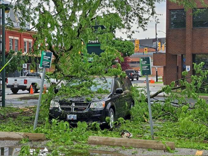 UPDATE: Storm downs trees, knocks out power across CK (GALLERY)