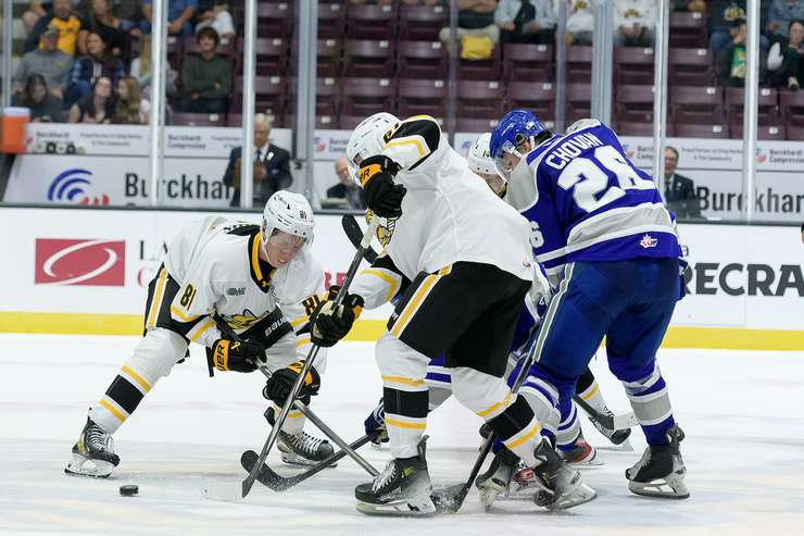 Sudbury Wolves at Sarnia Sting, Sept 26, 2025. Photo by Metcalfe Photography. 