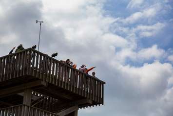 Visitors point to flying raptors on the Hawk Tower. (Photo courtesy ERCA)