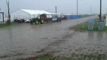 Tuesday rain at the 2017 IPM near Walton. (Photo by Adam Bell)