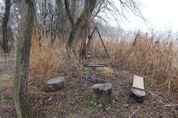 Fire pit at the Treehouse. January 3, 2017. Photo by Natalia Vega. 