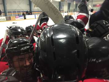 The Walkerton Hawks celebrate after scoring in overtime during Game 1 of the 2014-2015 Western Jr. C Final.  Photo by Marty Thompson.