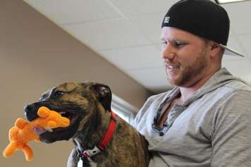 Derek adopts Reno, a puppy brought to the Windsor Essex Humane Society after being severely malnourished, March 26, 2015. (Photo by Jason Viau)